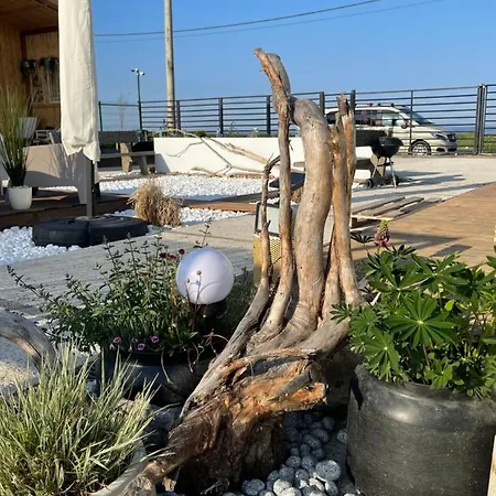 Maison Du Golf Pensjonat Costinesti